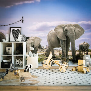 DE - Wall Murals Art